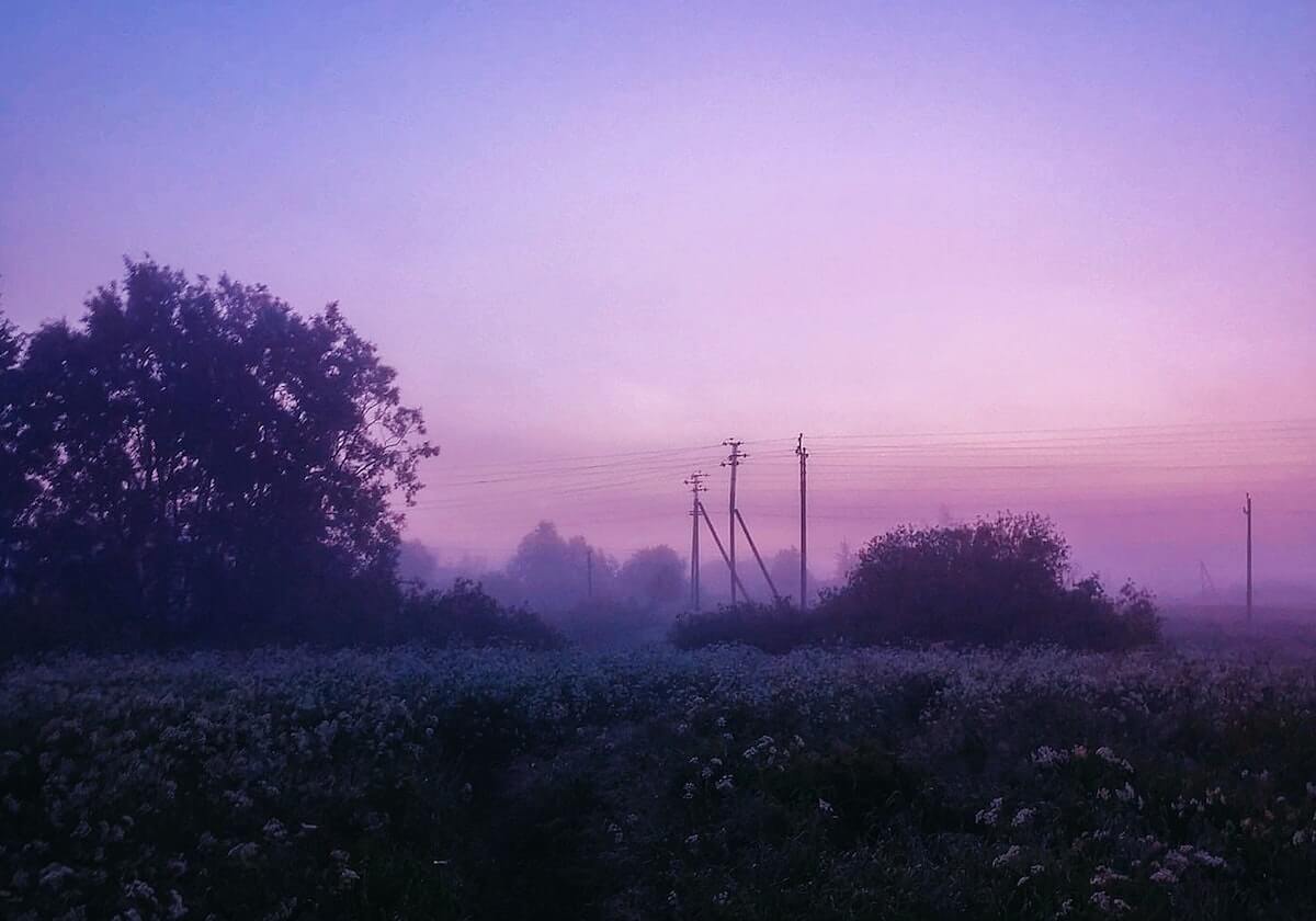 开云网页版：让云端工作从此无缝高效